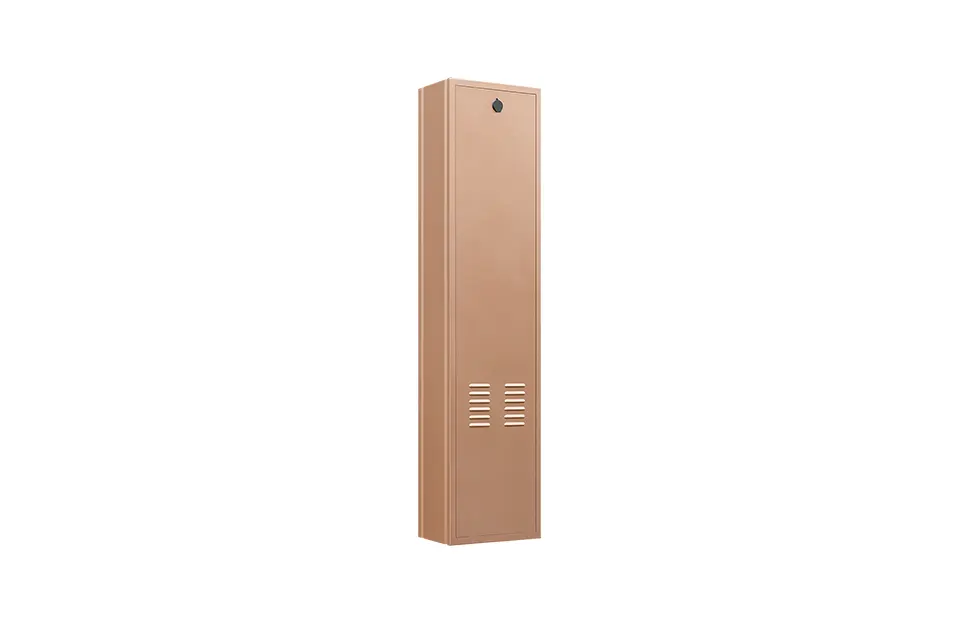 Parking Controller (Champagne Gold)right back