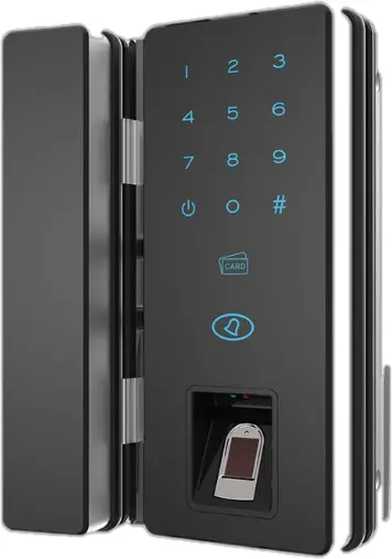 Fingerprint recognition