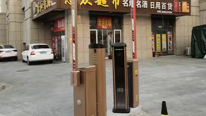 License Plate Recognition-case-12