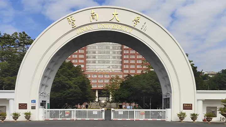 Telescopic Swing Gate-case-03