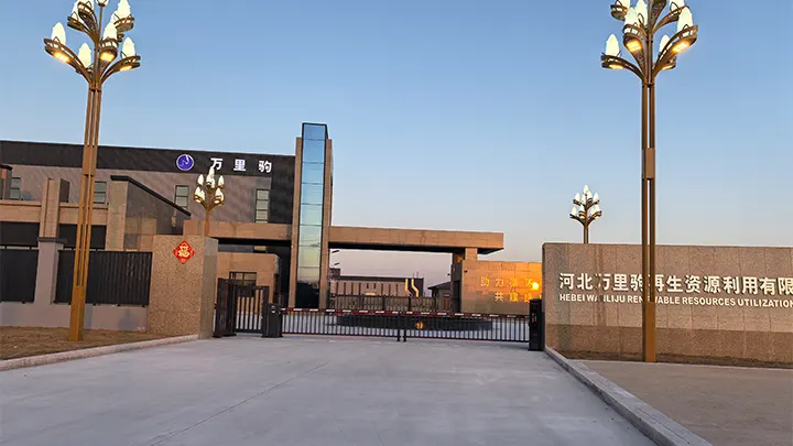 Vertical Pivot Gate Hebei Case