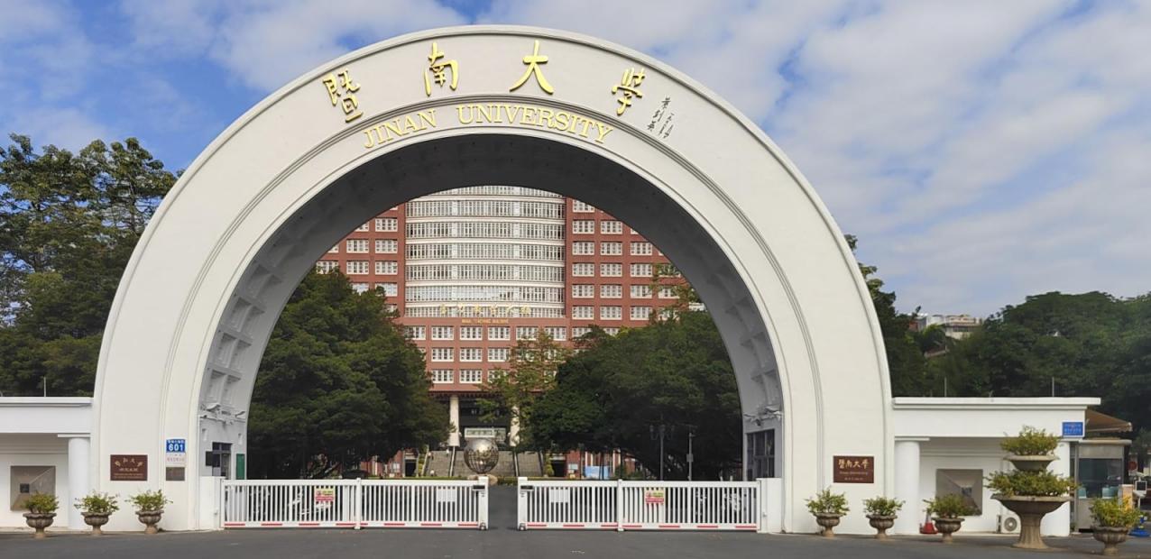 Telescopic Swing Gate